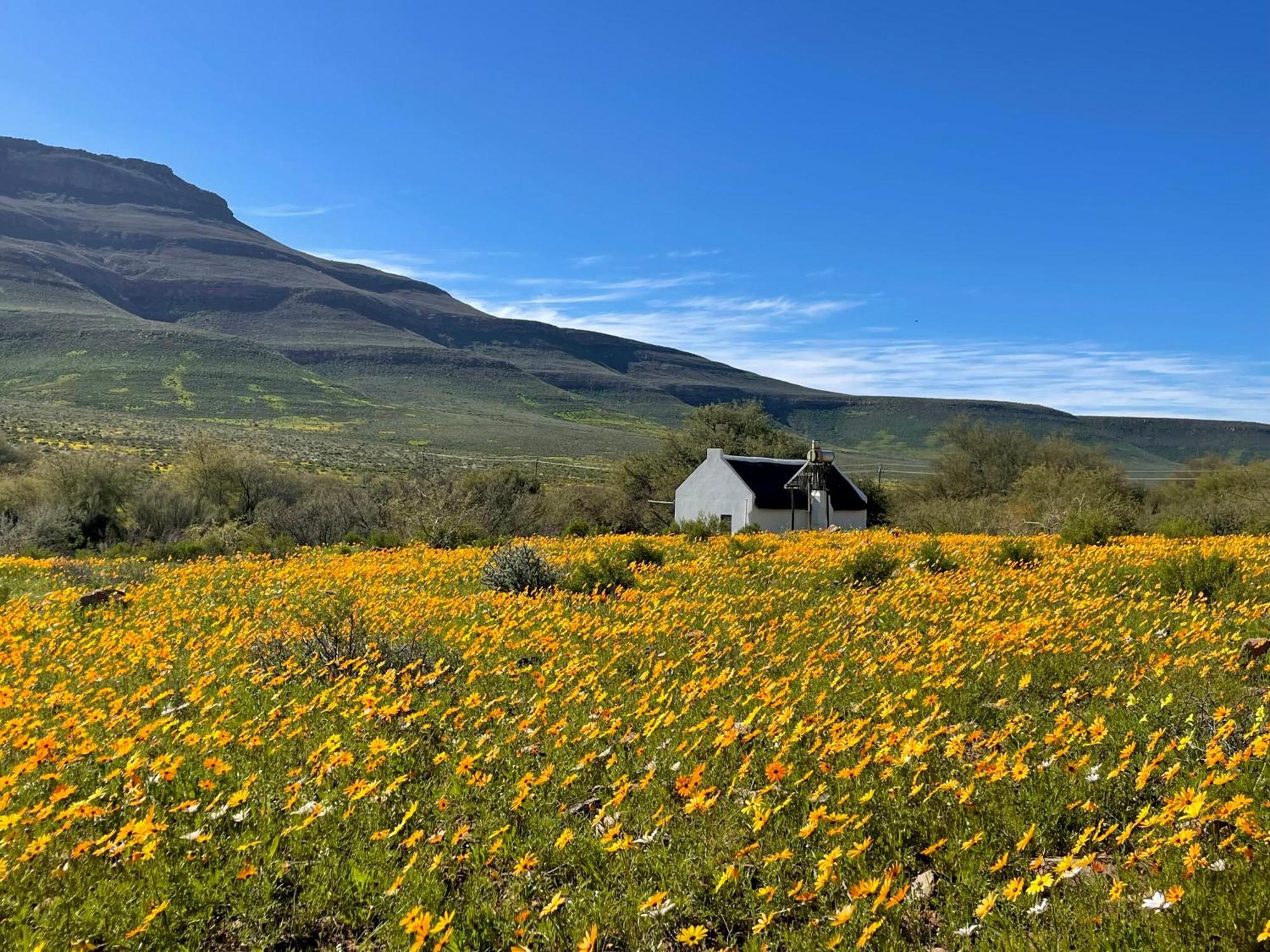 Enjo Nature Farm クランウィリアム エクステリア 写真